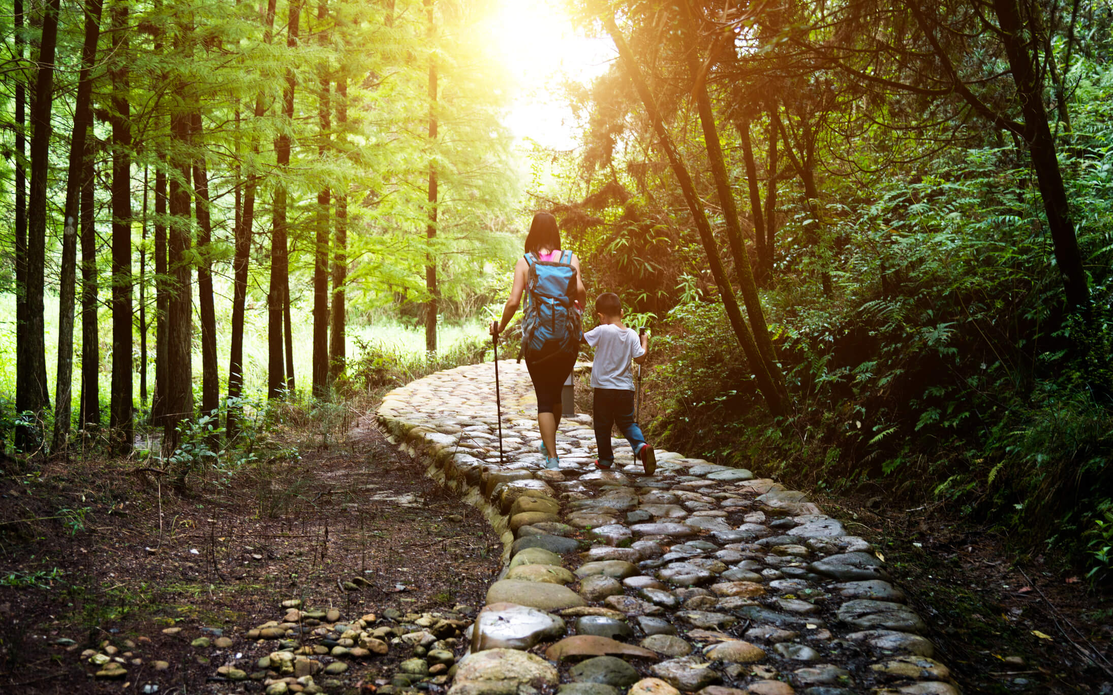 Woman and Child Walking on Cobblestone Path in Woods